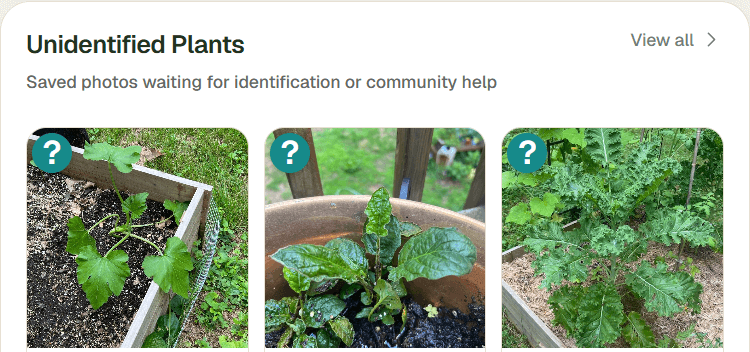 Actual Unidentified Plants section with three saved plant photos waiting for identification or community help