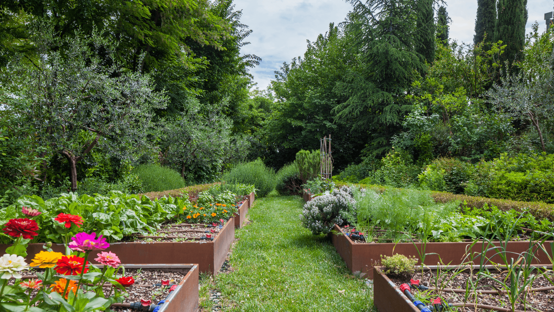 Colorful flowers and raised garden beds beside a grassy path through a leafy garden.