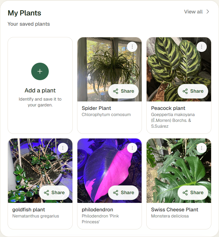Actual My Plants section with compact cards for Spider Plant, Peacock plant, goldfish plant, Pink Princess philodendron, and Swiss Cheese Plant